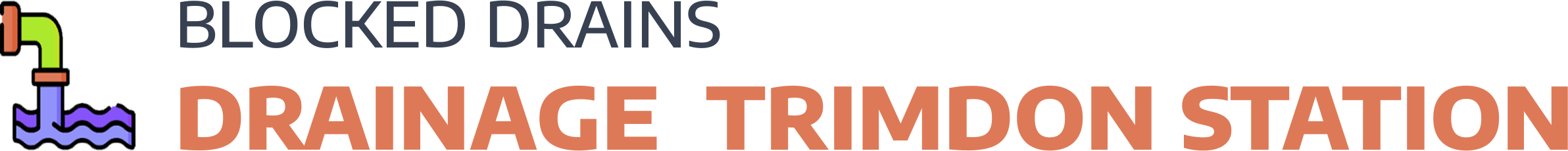 website logo